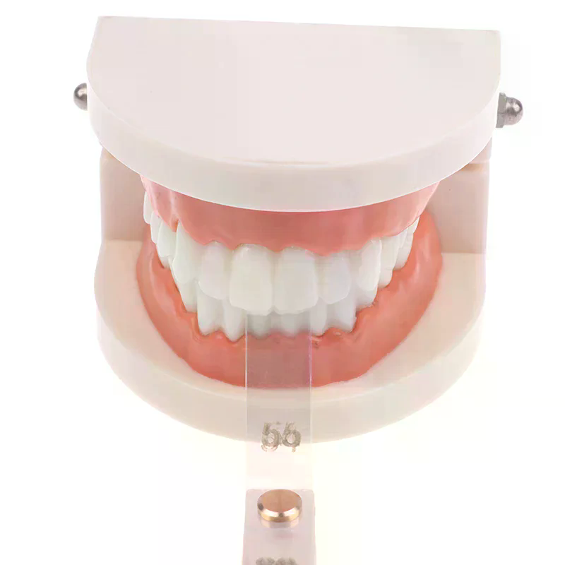 /ACR/Dental Interproximal Redu – Ruler Set Transparent Bewertung und Preis